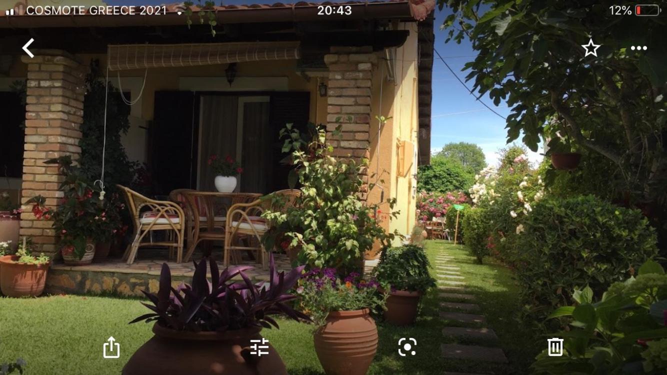 Villa Tina Country Beach Apartments Acharavi  Rum bild