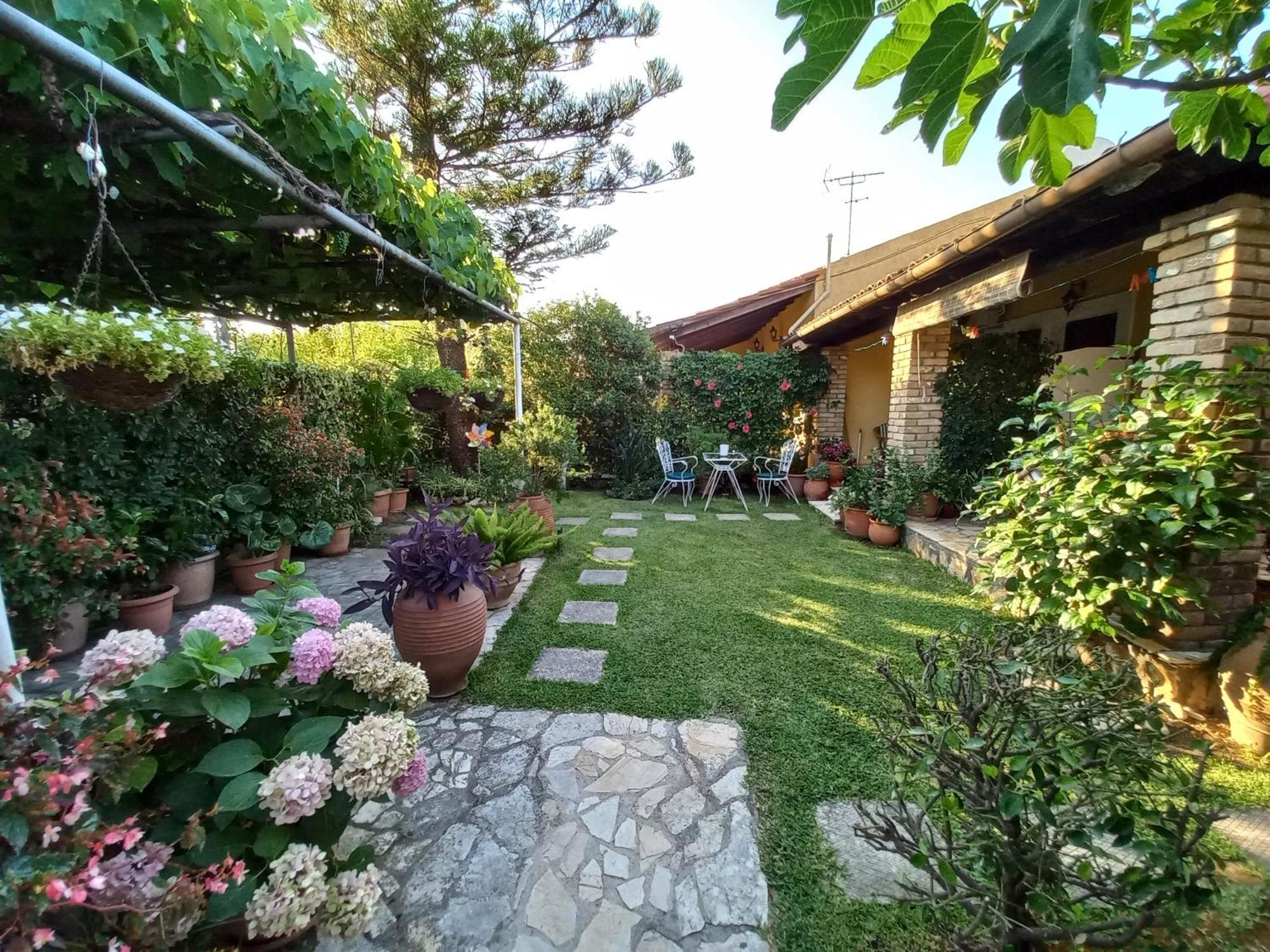 Villa Tina Country Beach Apartments Acharavi  Rum bild