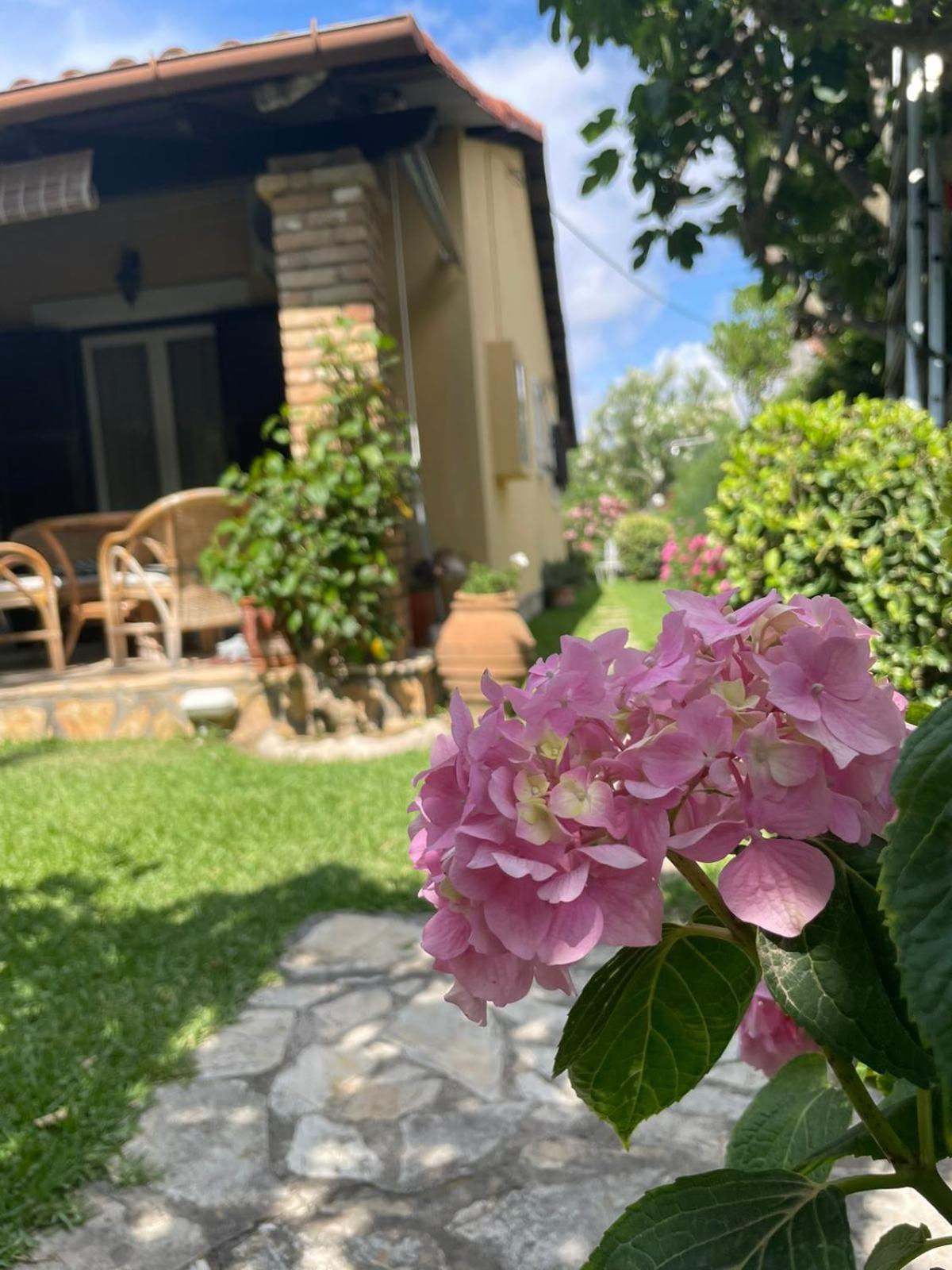 Villa Tina Country Beach Apartments Acharavi  Rum bild