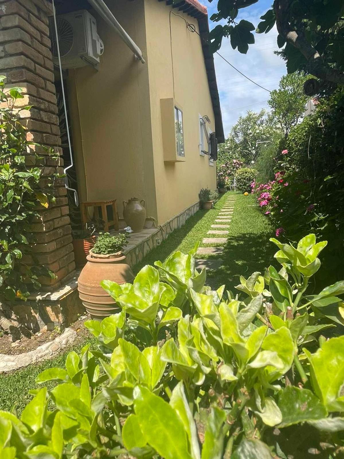 Villa Tina Country Beach Apartments Acharavi  Rum bild